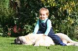 ENFANT ET CHIEN 602
